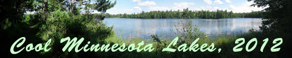 Cool Minnesota Lakes Banner